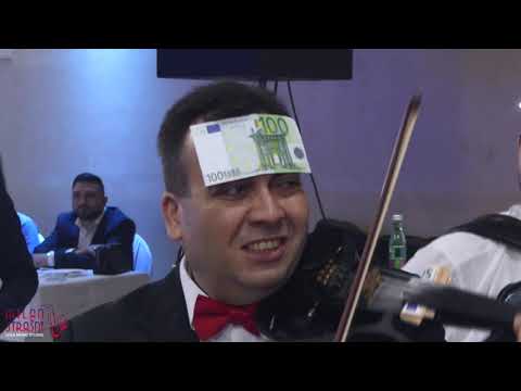 Veselje kod Slobe Fenomena - VLADA SILE / MILAN SASIN / MILAN STRASNI / GORILA / SANJIKA