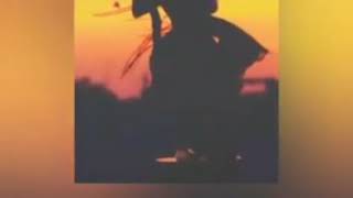 Jay dwarkadhish status new song status - YouTube