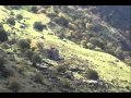 qaryakner film 
