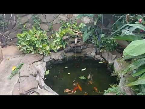 Casa a venda no bairro novo horizonte em carlópolis pr