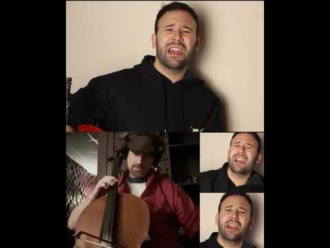 Lovely (cover) - Dudi Ross & Dave Eggar