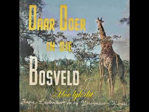 Boeremusiek  - Japie Laubscher  -  Hoe lyk dit