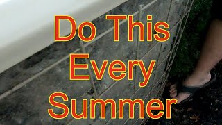 Don't Forget To Do This Every Summer!!