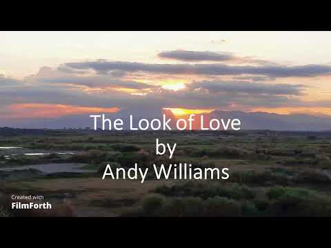 The Look Of Love - Andy Williams