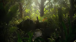 Download lagu Mowgli sub indo mp3