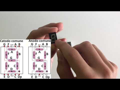 Display 7 Segmenti - Futura Elettronica