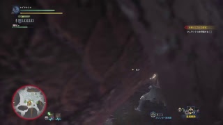 MHWモンハン初プレイ　ボイス無し