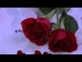 [andy williams] days of wine and roses (lyrics)