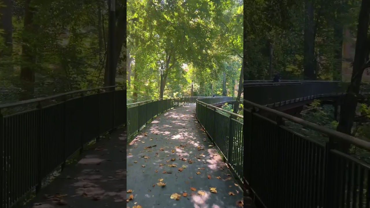 Happy fall from JHU 🍂🍃 #jhu #johnshopkinsuniversity #shorts