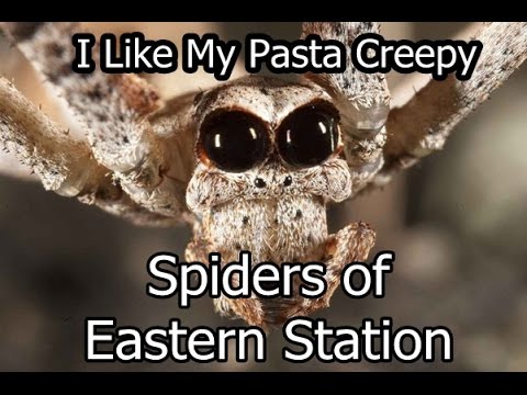 CreepyPasta- Spiders of Eastern Station