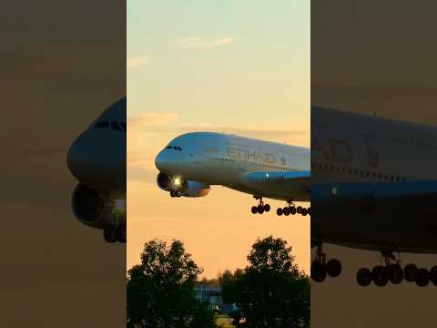 @etihad ❤️ Etihad A380 quite possibly the BEST livery on the A380?! #a380 #aviation