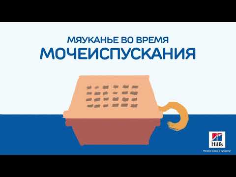 Миниатюра изображения товара Сухой корм для кошек Hill's Prescription Diet Urinary Care c/d Multicare Chicken / 605889 (8кг)