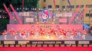 preview picture of video '勇舞会　02　in　坂戸よさこい　2014'