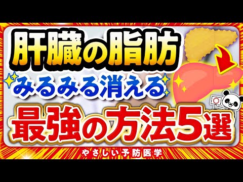 肝臓脂肪に最適な食事 – 肝臓脂肪の治療方法を学ぶ