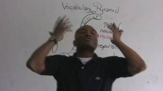 English Vocabulary - MUSE words - amusing, bemused, etc.