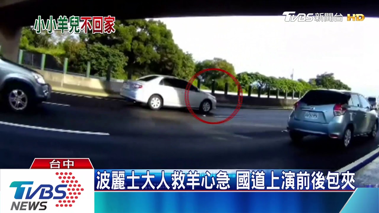 山羊國道上演「你追我跑」　警察賣命即刻救援