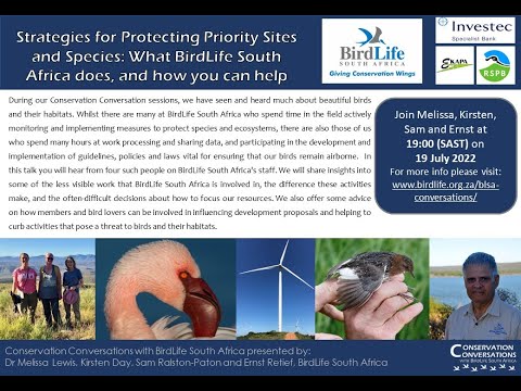 Conservation Conversations: Saving priority species and habitats - BirdLife South Africa (19Jul22)