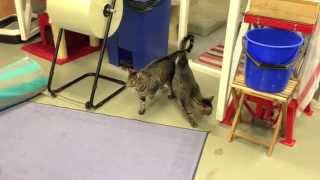 Trampande Manfred & Mysiga Magda