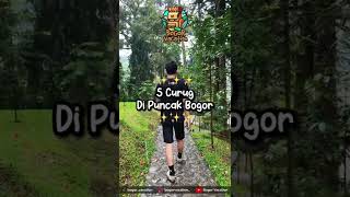Download lagu 5 CURUG DI PUNCAK BOGOR | BOGOR VACATION mp3