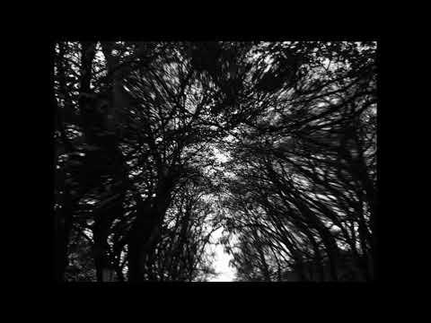 Elysian Blaze  -  Black Hole Euphoria