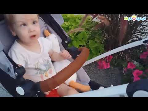 Obrazek poglądowy filmu YouTube