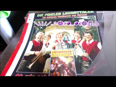 die fidelen lavanttaler die goldenen musikanten aus kärnten  12 titel 1981