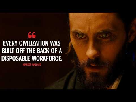 Root of KaiOS: How does the Wallace app work (and what does "Blade Runner 2049" have to do with it)?