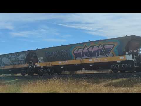 7737V/7935V Geelong Graincorp Loop to Birchip AWB PacNat empty grain 18/2/24 (Ararat Jct)