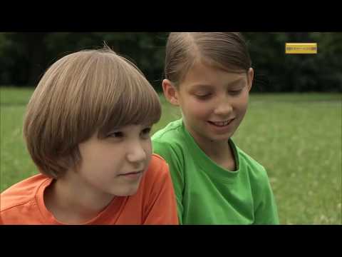 Firbcologi: anoreksija