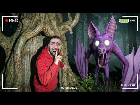 I FILM BAT 99 NIGHTS IN A FOREST IN REAL LIFE! 🦇