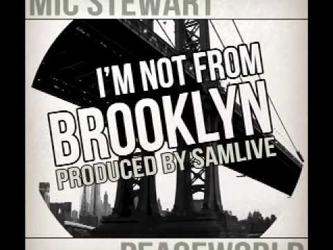 Mic Stew "I'm Not From Brooklyn"