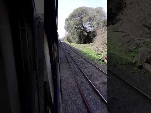 Línea S.Martín #TrenesArgentinos #TrenesDeArgentina #ViajarEnTren  #ferrocarrilesargentinos #trenes