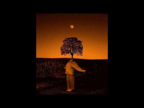 [FREE] Drake x Swae Lee Type Beat "Falling Star"