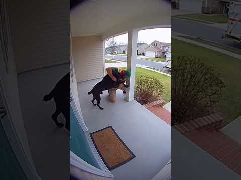 Sanitation Worker Fired For Helping Choking Dog!