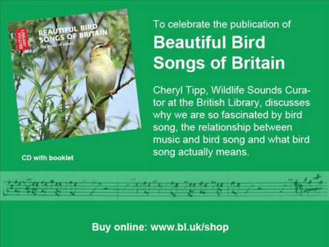 Beautiful Bird Songs of Britain
