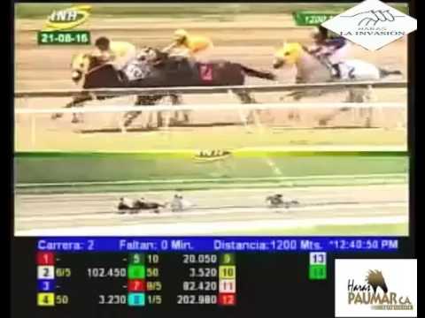 LA RINCONADA 2 CARRERA, DOMINGO 21 DE AGOSTO DEL 2016