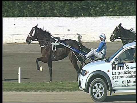 Trotto 28/10/2016 - 1ª corsa