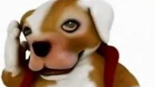 Descargar Bajar Youtube MP3 Gratis Descargar Bajar Youtube MP3 Gratis