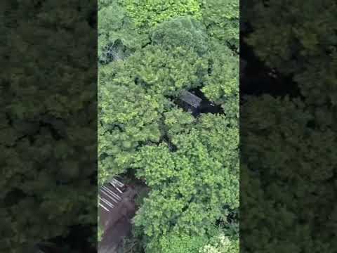 Hacienda chaguantique jiquilisco usulutan