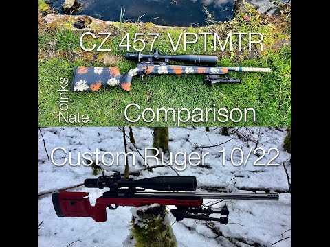 CZ 457 VPT MTR vs Custom Ruger 10/22 (Comparison)