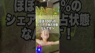 #株初心者 #株式投資 #投資の勉強 #資産運用 #お金の勉強 #副収入 #老後資金 #資産形成 #株で稼ぐ #配当金活 #株主優待 #長期投資 #短期トレード #日本株投資