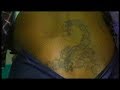 The Girl With The Scorpion Tattoo