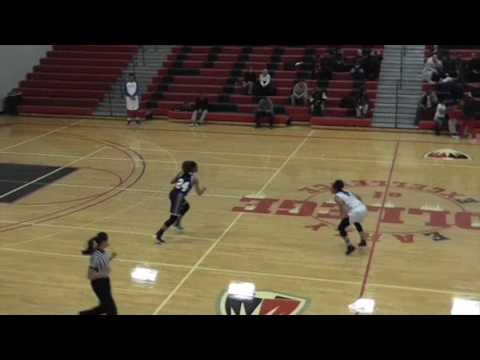 Shana Risby #5 Wayne County Community College District Lady Wildcats.