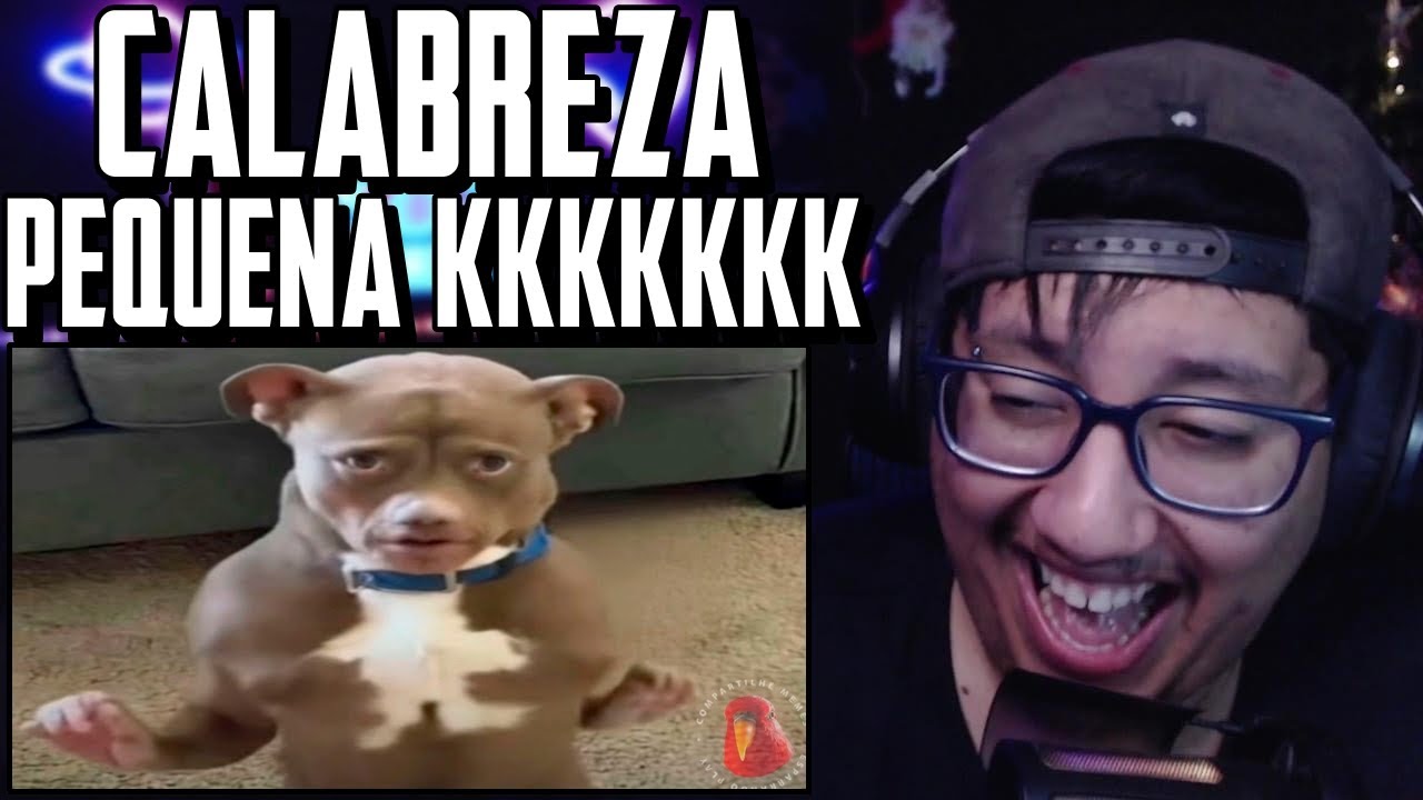 ♦ Compilado de MEME ♦ Tente não rir - {421}