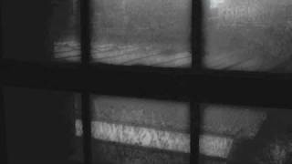 Max Richter-This Picture Of Us P