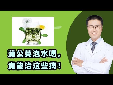 蒲公英功效
