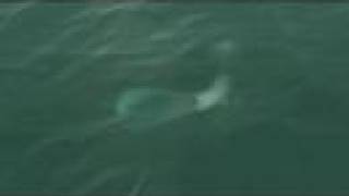 Silent Hunter III - Aus der Tiefe