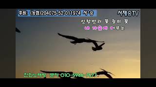 서재승⚘️커버 인향만리🌷원곡자#이향가수님