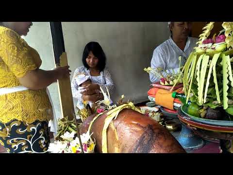 Adat bali Acara 3 bulan MADE ARYA JAYANTARA
