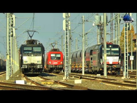 [2h] Activitate Feroviară Intensă/Intense Railway Activity in Gara Curtici Station 01 November 2021